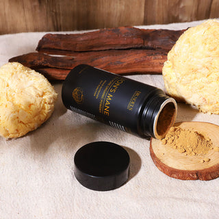 Lion’s Mane Explained: Dual Extract vs Powder vs Tincture
