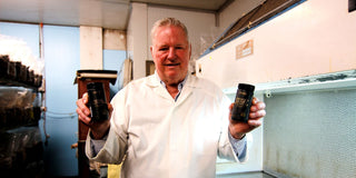 Mushroom Powders for Detoxification Support: How Medicinal Mushrooms Aid the Body’s Natural Cleanse